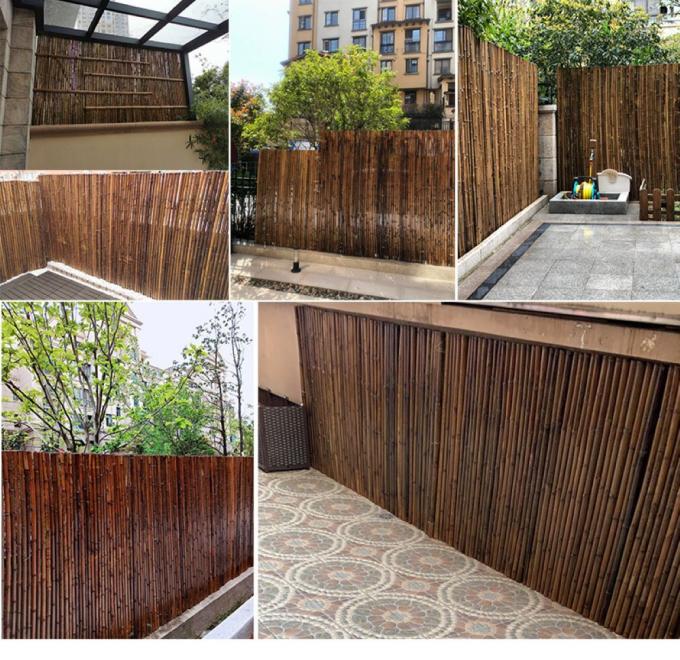 De natuurlijke van de Omheiningspanels rolled bamboo van het Bamboemateriaal Geschilderde Bamboe Omheining Privacy Garden Border 2