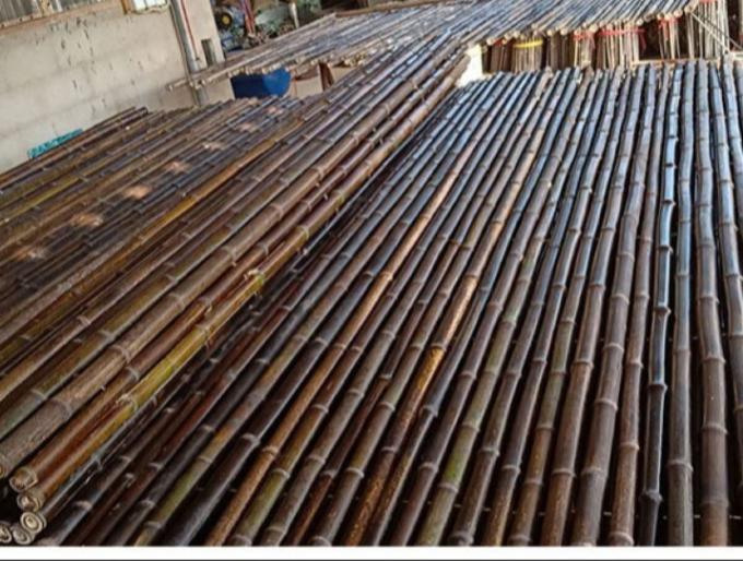 De natuurlijke van de Omheiningspanels rolled bamboo van het Bamboemateriaal Geschilderde Bamboe Omheining Privacy Garden Border 1