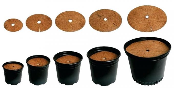 Coconut Fiber Mulch Ring Tree Protector Mat voor Disc Plant Cover Onkruidbestrijdingsmatten 7