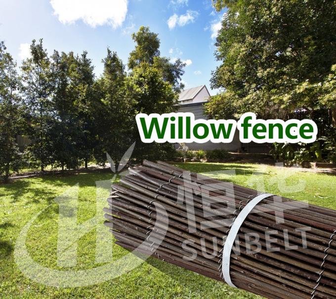 Natuurlijke wilgentakken voor een perfecte achtergrond en privacy-oplossing 0