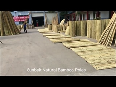 100% natuurlijk Geel Bamboe Pool 90cm tot 595cm de Staken van de Installatietuin