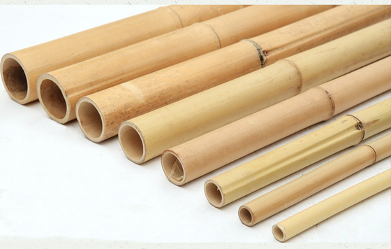 100% natuurlijk Ruw 240cm Bamboe Pool die Deoration 60cm tot 595cm bouwen