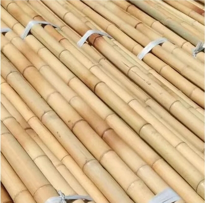 Natuur Raw bamboe palen Rechte bamboe boom palen Grote bamboe palen Voor decoratie