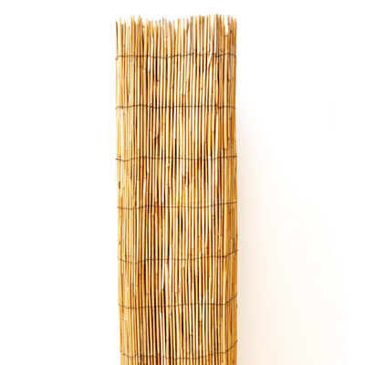 Buitentuin villa Tuin gastenverblijf Bescherming Rieten hek panelen