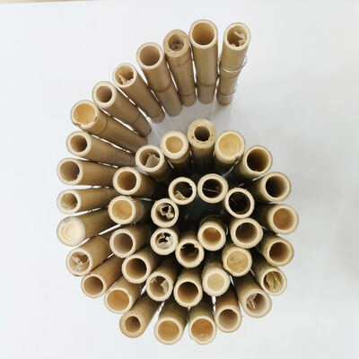 Natuurlijke flexibele bamboe korte hekwerk decoratieve buitentuin landschap rand