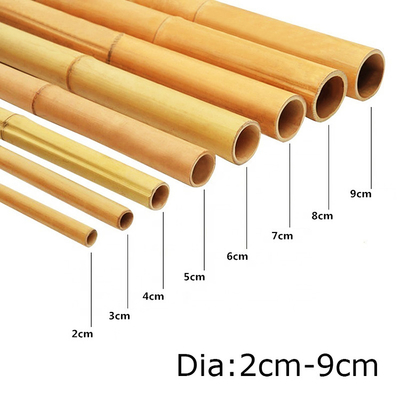 100% natuurlijk Geel Bamboe Pool 90cm tot 595cm de Staken van de Installatietuin
