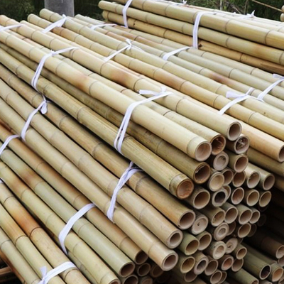 100% natuurlijk Geel Bamboe Pool 90cm tot 595cm de Staken van de Installatietuin