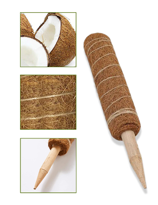 44cm de Installaties die van Coirmoss totem pole kit for en Ondersteunend Installatieskokosnoot Pool beklimmen
