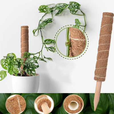 44cm de Installaties die van Coirmoss totem pole kit for en Ondersteunend Installatieskokosnoot Pool beklimmen