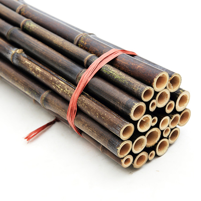 Van het de Decoratie het Ruwe Bamboe van de tuininstallatie Natuurlijke Tonkin Bamboe Polen van Polen