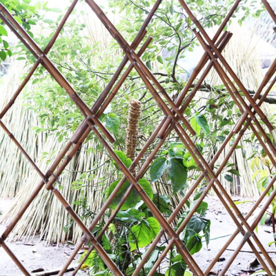 Van het Bamboestaken van het tuinmeubilair het Natuurlijke Ruwe Bamboe Polen 40cm tot 500cm Hoogte