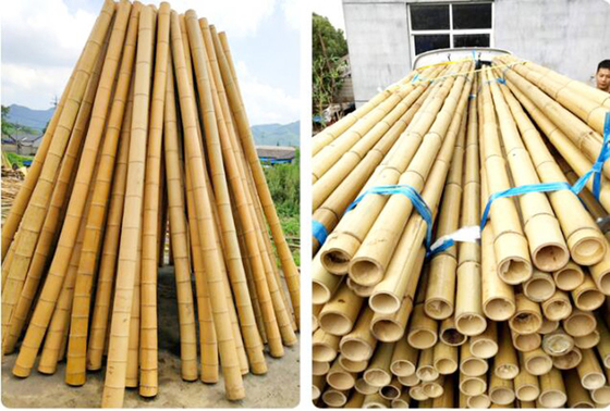 250cm Ruwe het Bamboestaken van Bamboepolen voor Decoratieinstallatie