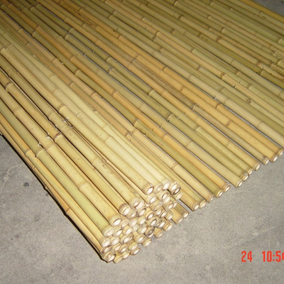 De Grensomheining 180cm 240cm Bamboeomheining Panels Garden Border van de Eco Vriendschappelijke Tuin