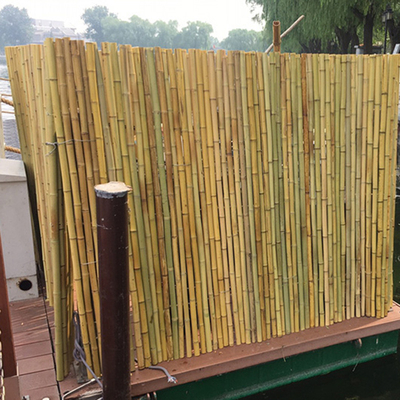 Omheining Tonkin Bamboo van het binnenplaats de Decoratieve Bamboe 1.5m Openluchttuinomheining