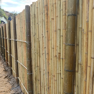 De natuurlijke Tonkin-van de het Bamboeprivacy van Bamboepool Omheining Hoog For Garden 240 cm