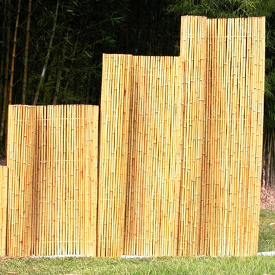 Van de het Kinderdagverblijf de Duurzame Tuin van de huistuin van de Omheiningsbamboo roller paneling Natuurlijke Kleur
