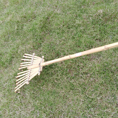 12 tand 140cm Bamboehark Met de hand gemaakt voor de Hark van het de Tuingazon van het Poolblad