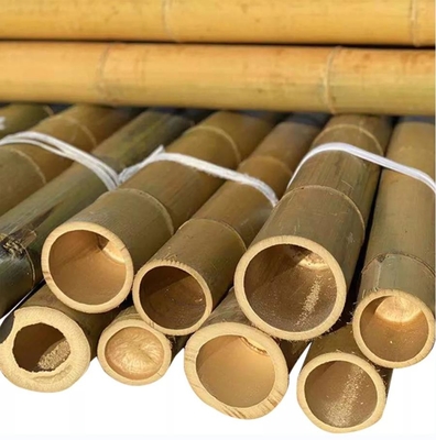 Het natuurlijke 10 Voet Bamboe Pool van Moso voor de Bouw van Tuinbouw