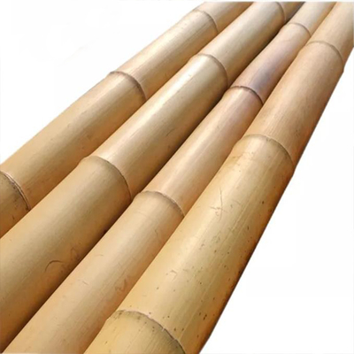 18 mm tot 160 mm Diameter Bamboestik Moso Bamboestik Bouwbouw Landbouw