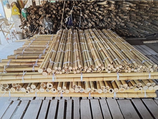 18 mm tot 160 mm Diameter Bamboestik Moso Bamboestik Bouwbouw Landbouw