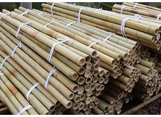 Staken van het Bamboepolen van het tuinmeubilair de Natuurlijke rechtstreeks voor Lengte 16cm van de Tuininstallatie