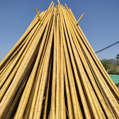100% natuurlijk Ruw 240cm Bamboe Pool die Deoration 60cm tot 595cm bouwen