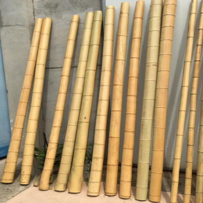 Staken van het Bamboepolen van het tuinmeubilair de Natuurlijke rechtstreeks voor Lengte 16cm van de Tuininstallatie