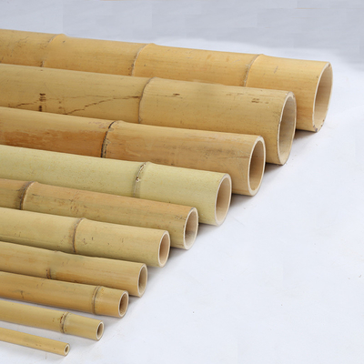 Het droge Behandelde het Tuinieren Bamboe plakt Polen-Rietstaken 16cm voor Bouw