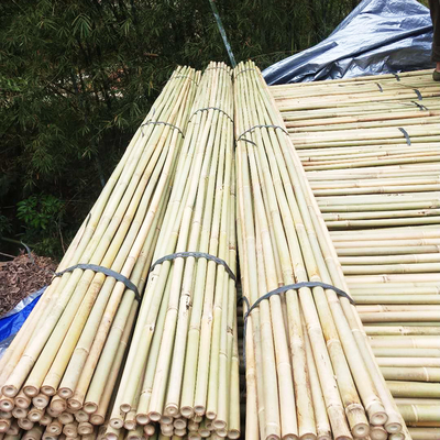 De natuurlijke Stokken van het Tuinbamboe voor Binnen Openlucht de Steunstaken van Tomaten Ingemaakte Installaties
