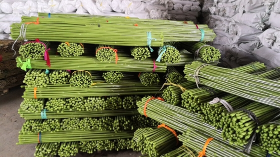 40cm 60cm 90cm 120cm Groen Schilderen van Polen van het Lengte het Groene Bamboe