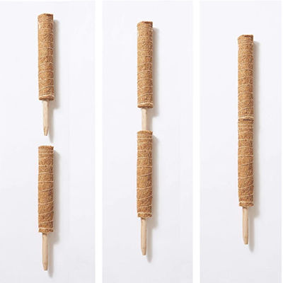 Moosstaaf voor klimplanten 30cm 40cm 60cm 90cm Natuurlijke kokosnoten totem steen