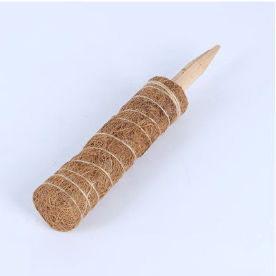 Moosstaaf voor klimplanten 30cm 40cm 60cm 90cm Natuurlijke kokosnoten totem steen