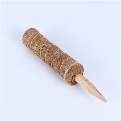 Moosstaaf voor klimplanten 30cm 40cm 60cm 90cm Natuurlijke kokosnoten totem steen