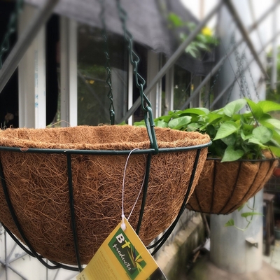 Mand van de het Metaal de Hangende Planter van de tuindecoratie met Coco-de Voering van Coircoco
