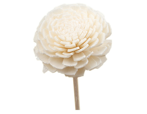Bemerkt Houten Droog Sola Flower Reed Diffuser 15cm met Katoenen Wiek voor Decoratief