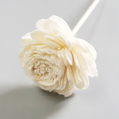 Huis Geur Bewaard Reed Diffuse Dried Sola Flower Reed Diffuser met Katoenen Wiek