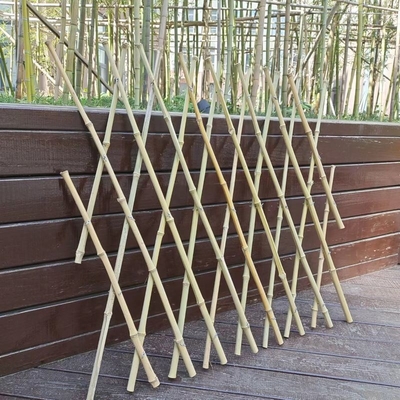 Het uitzetbare het Latwerktuin van Bamboepolen Flexibele Schermen voor Balkondecoratie 120*180cm