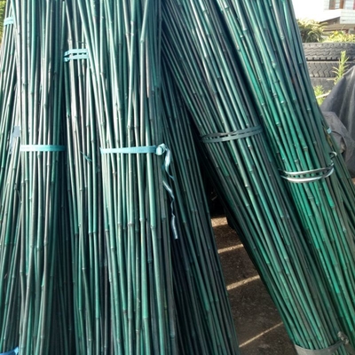 de 20cm Geschilderde Ruwe van de Stakenstaven van Bamboepolen Groene Decoratie