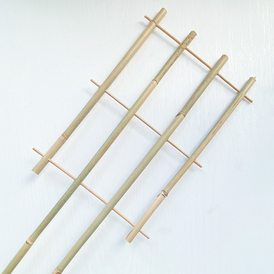 100% Staken 6m van het Grondstoffenbamboe u-de Bloem van de het Latwerksteun van Handcrafted van Vormhoepels