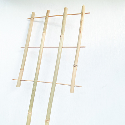 100% Staken 6m van het Grondstoffenbamboe u-de Bloem van de het Latwerksteun van Handcrafted van Vormhoepels