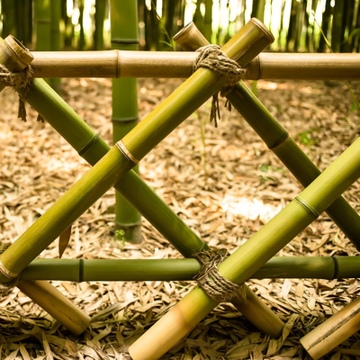 Van het de Decoratie het Ruwe Bamboe van de tuininstallatie Natuurlijke Tonkin Bamboe Polen van Polen
