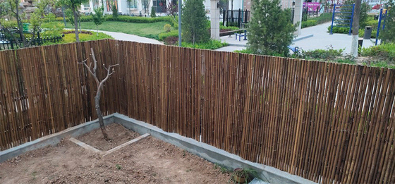 De natuurlijke van de Omheiningspanels rolled bamboo van het Bamboemateriaal Geschilderde Bamboe Omheining Privacy Garden Border