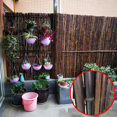 De natuurlijke van de Omheiningspanels rolled bamboo van het Bamboemateriaal Geschilderde Bamboe Omheining Privacy Garden Border