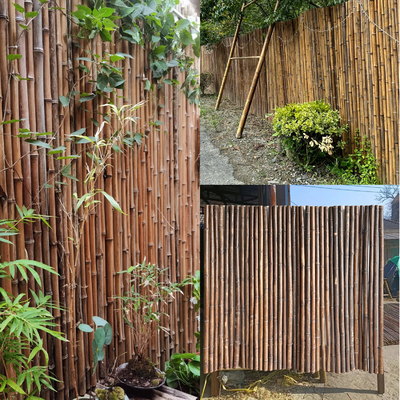 De natuurlijke van de Omheiningspanels rolled bamboo van het Bamboemateriaal Geschilderde Bamboe Omheining Privacy Garden Border