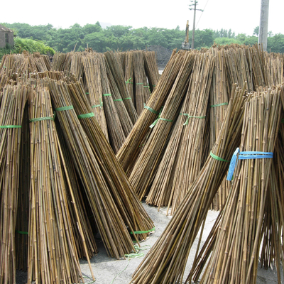 Van het Bamboepolen Tonkin van Home Decoration Raw van de tuinomheining het Stevige Bamboe Polen