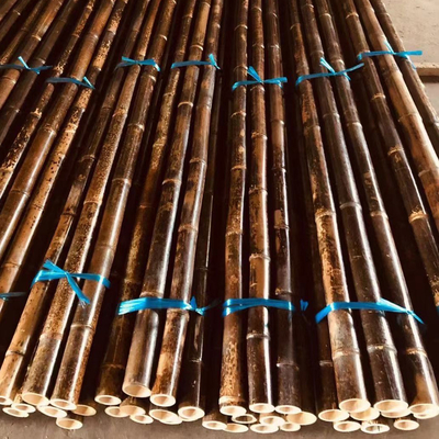 150cm Ruw Bamboe Polen die de Groene Rode Zwarte Decoratieve Staken van de Bamboetuin schilderen