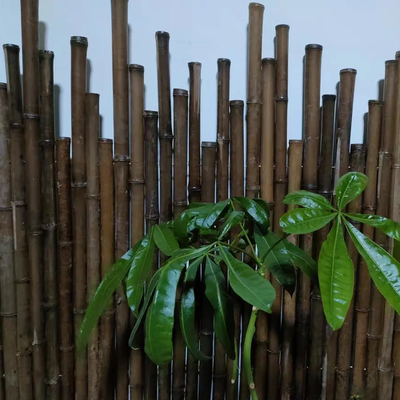 150cm Ruw Bamboe Polen die de Groene Rode Zwarte Decoratieve Staken van de Bamboetuin schilderen
