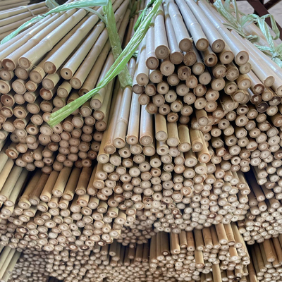 Het kleurrijke Ruwe Bamboe Polen van het Bamboeriet voor Tuinlandbouw