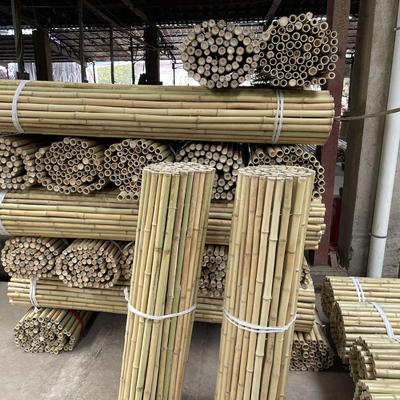 Het kleurrijke Ruwe Bamboe Polen van het Bamboeriet voor Tuinlandbouw