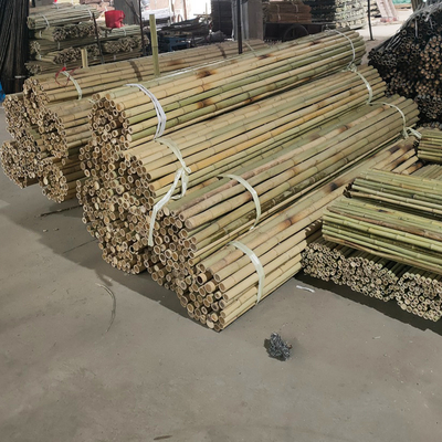 Het kleurrijke Ruwe Bamboe Polen van het Bamboeriet voor Tuinlandbouw